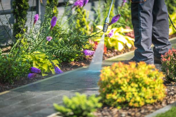 Charleston, SC Pressure Washing Services Company